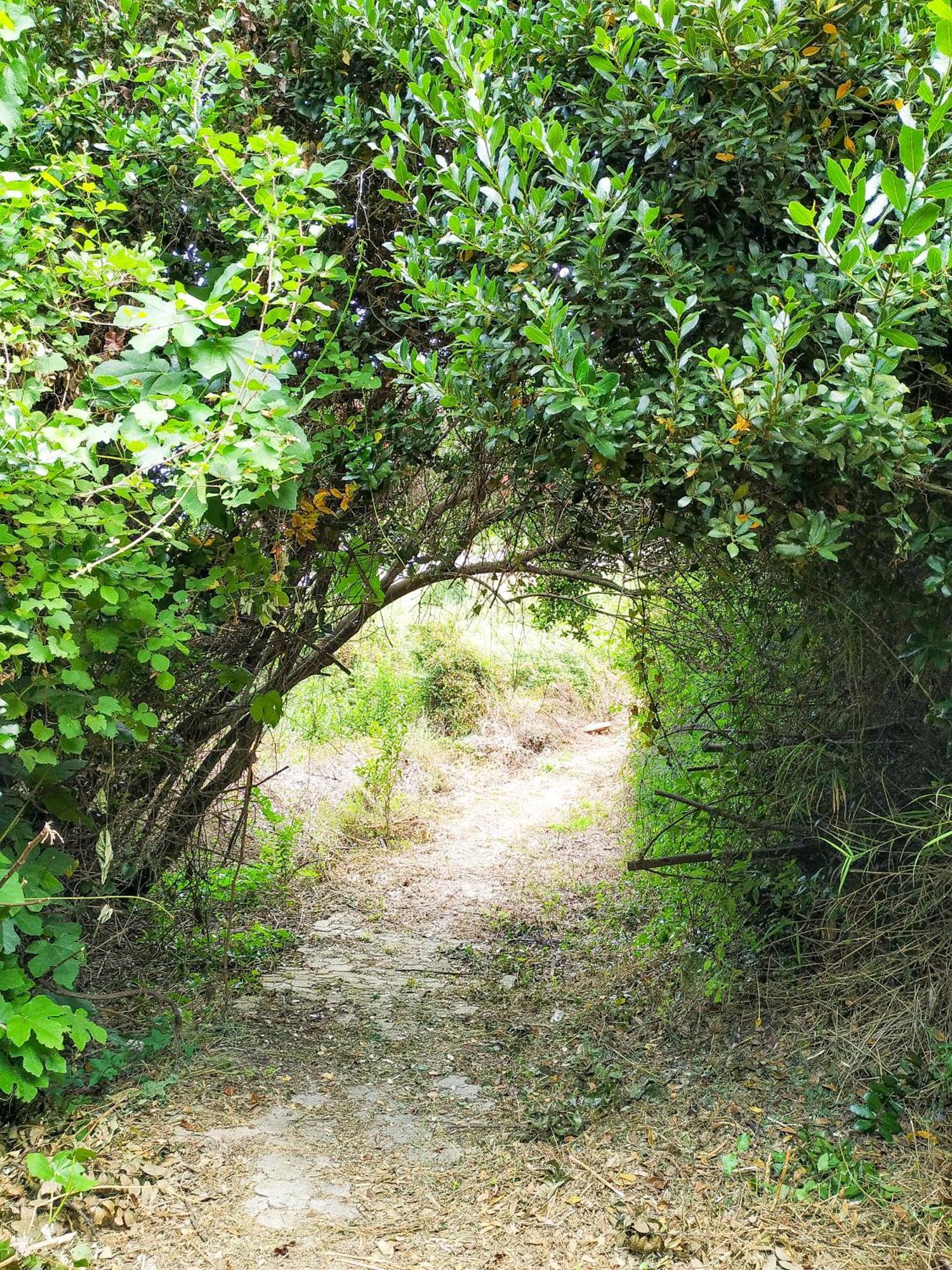 קסנדריה Villa Opali מראה חיצוני תמונה